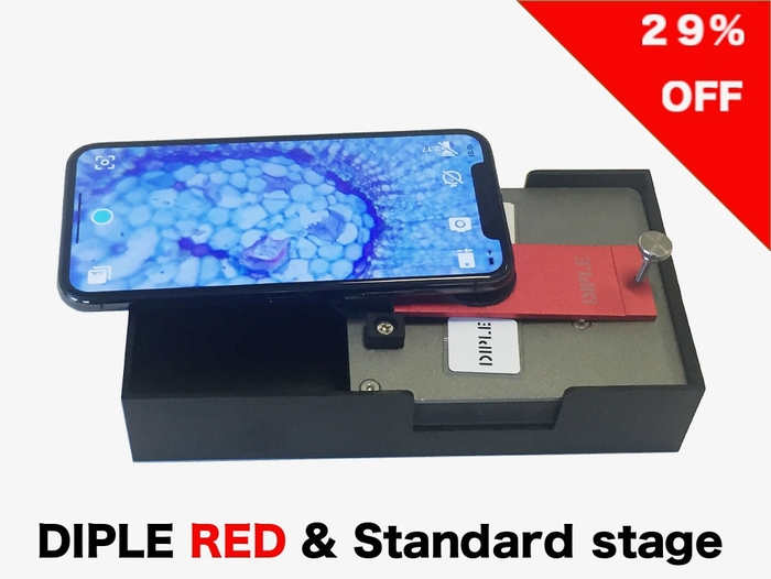 DIPLE RED & Standard stage