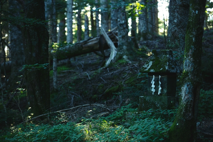 【星のや富士】馬返しトレッキング_史跡(1)