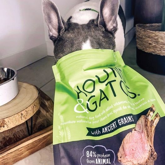 ハウンド＆ガトス3