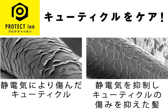 プロテクトイオン※3で、大風量でも艶髪まとまる