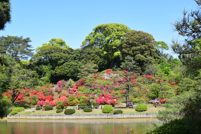 大泉水から見た藤代峠