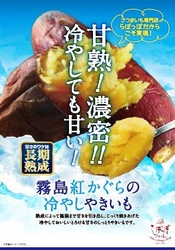 甘さのワケは長期熟成！あの安納芋を超える甘さ！？ さつまいも専門店だからこそ実現した甘熟“冷やしやきいも” 夏季限定で発売！