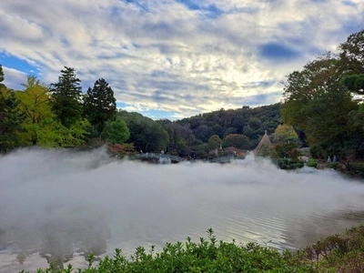 幻想的な雲海と紅葉ライトアップ　 町田薬師池公園四季彩の杜　紅葉まつり開催中