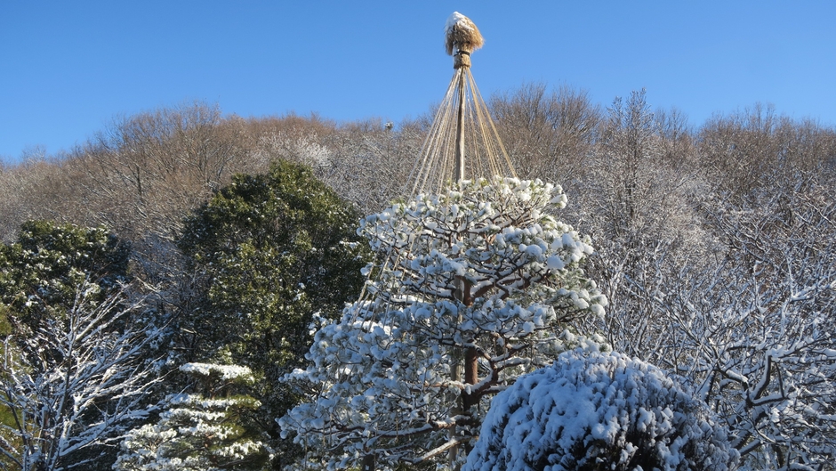 昨年開催時の園内の景色