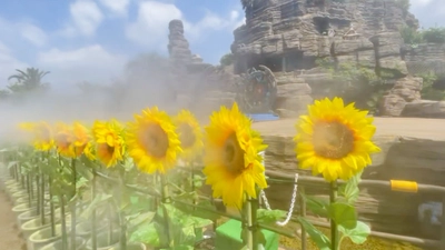 ひらパーで楽しむ！夏の“涼しい”体験