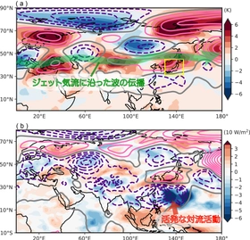 極端気象アトリビューションセンター(WAC) 「2025年7月下旬の記録的高温は地球温暖化の影響がなければ 発生しなかったレベル」 分析結果を発表