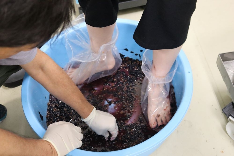 タライの中には甘い香りを放つ果汁がたっぷり