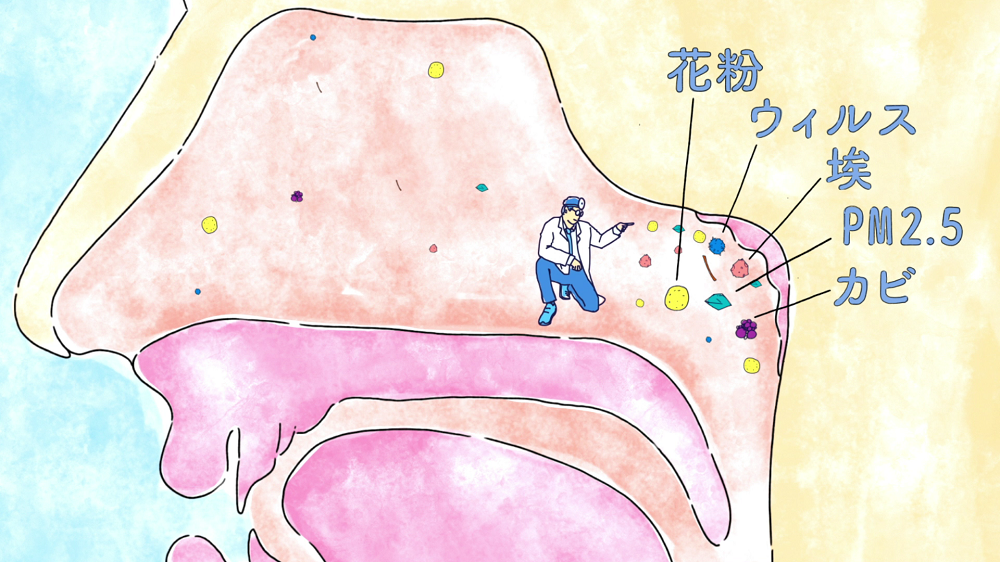 ニールメッド「サイナスリンス」Youtube動画広告スタート！