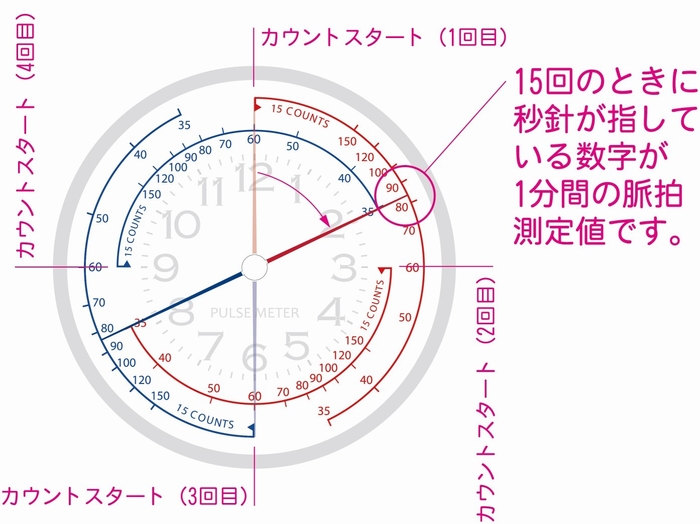 協和精工ナースウォッチ　イメージ4