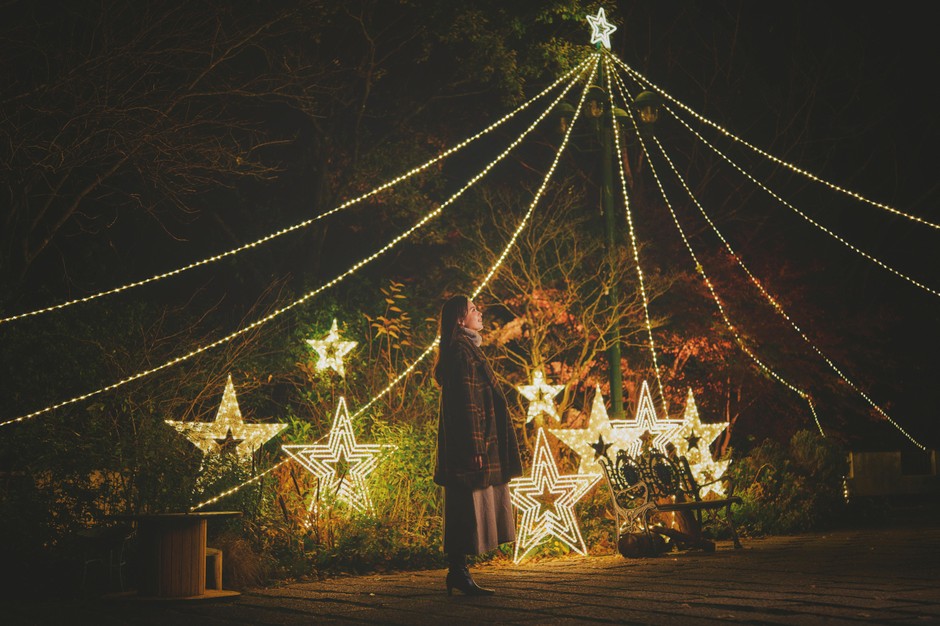星の光に包まれるクリスマスのフォトスポット