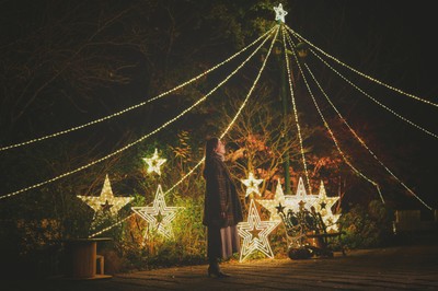 星の光に包まれるクリスマスのフォトスポット