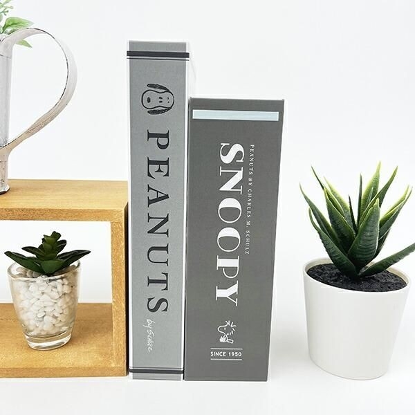 スヌーピーの収納箱