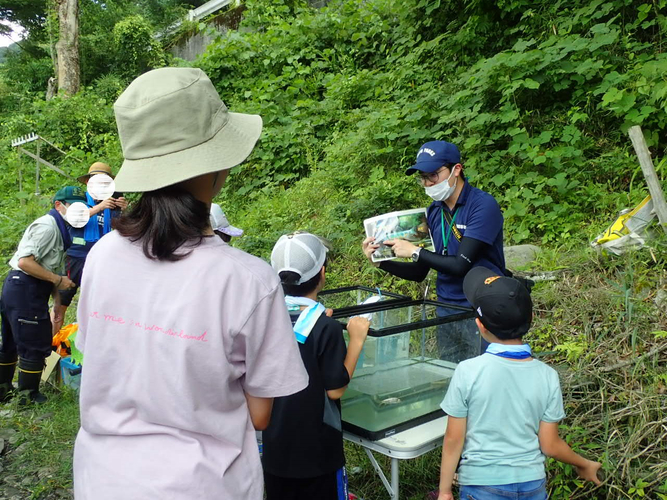 釣れた魚を水槽に入れて観察します