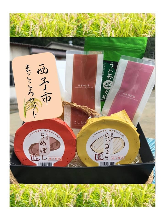 愛媛県 商品一例