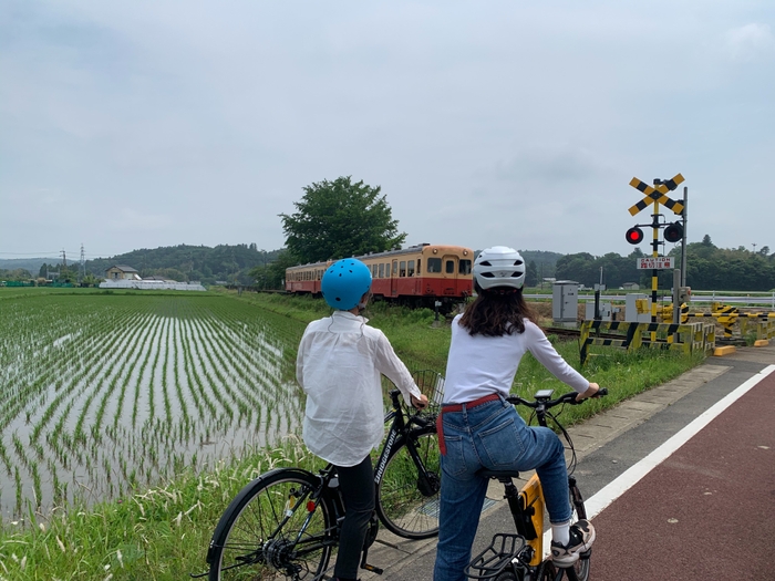 OIKAZE Route&Cal Supply