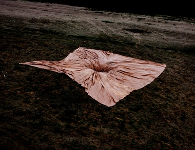 志賀理江子作品　「螺旋海岸28」　2011年