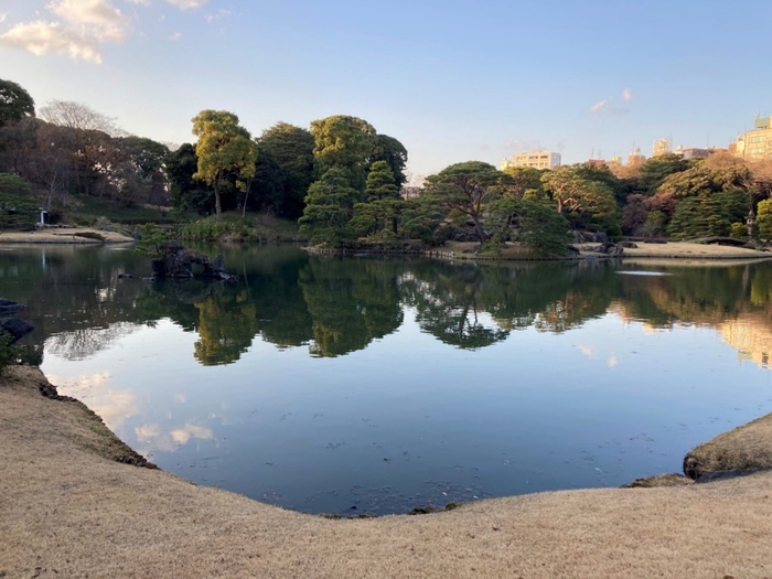 （写真：六義園・受賞者撮影）