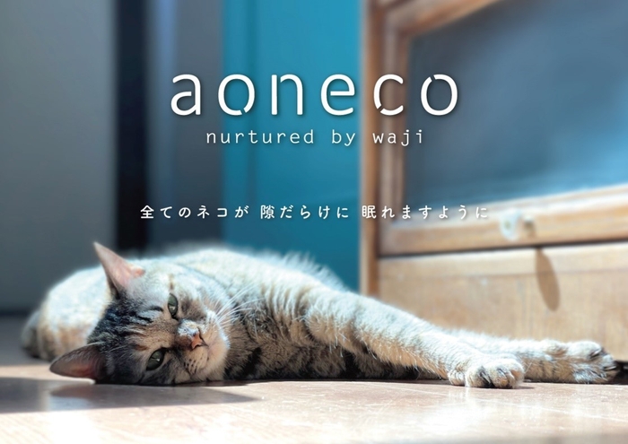 aonecoとは