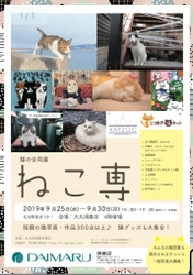 猫をモチーフにした猫の合同展「ねこ専」が 大丸百貨店須磨店で9月25日～30日に開催