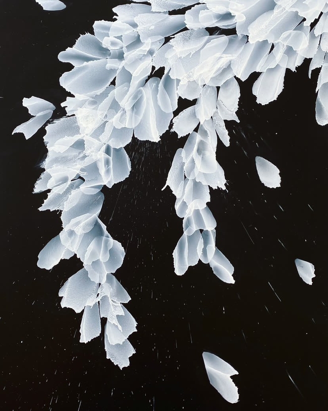 入選 アルコールインクアート「一瞬の静寂」モノクロの神秘な世界