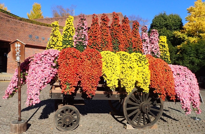 神代植物公園名物「神代花車」（令和４年度撮影）