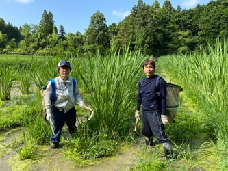 滋賀県の荒廃農地を真菰(まこも)で蘇らせたい！ 栄養素が豊富な「まこもパウダー《きぼう》」を開発、 クラウドファンディングを2月28日まで実施