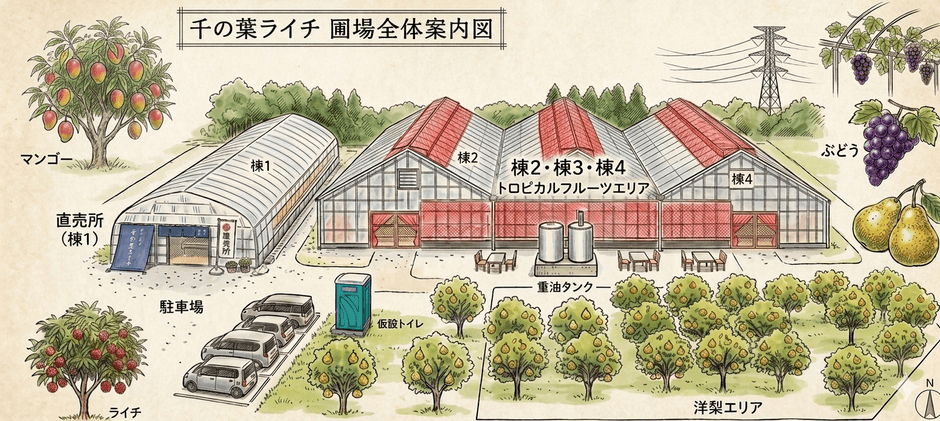 圃場案内図