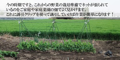 よく見かける家庭菜園風景
