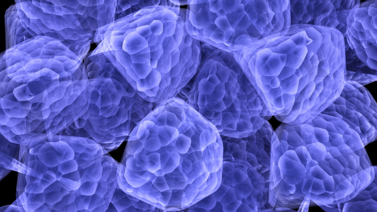 バイオベース・プラットフォーム・ケミカル市場は、年平均成長率（CAGR）11.44%で成長すると予想されます。