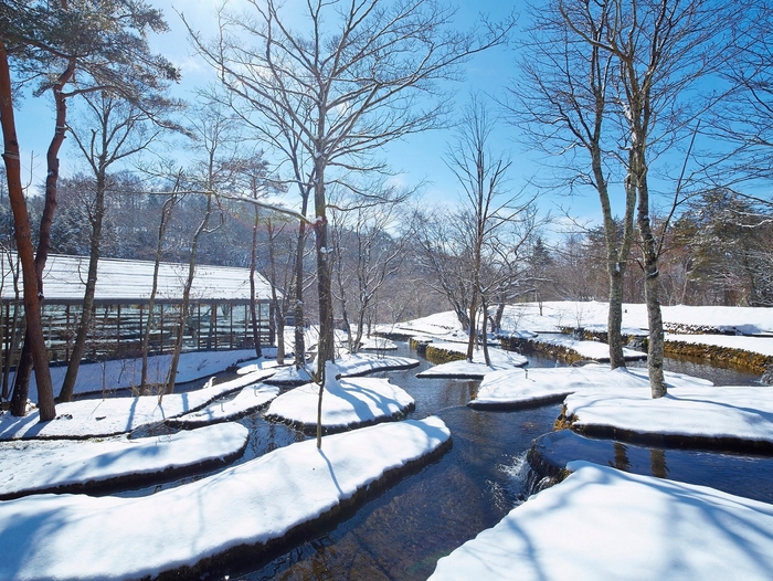 一面雪に覆われた棚田