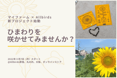 「ひまわりを咲かせてみませんか?」プロジェクト