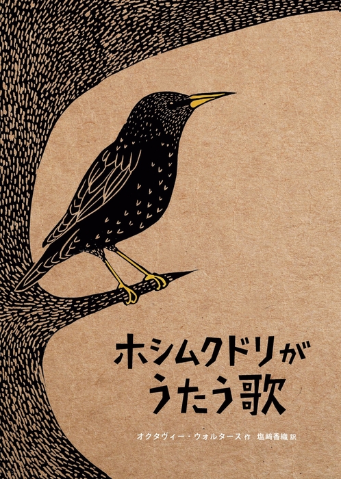 クリスマスに間に合う】滋賀県大津市のふるさと納税返礼品に、世界の