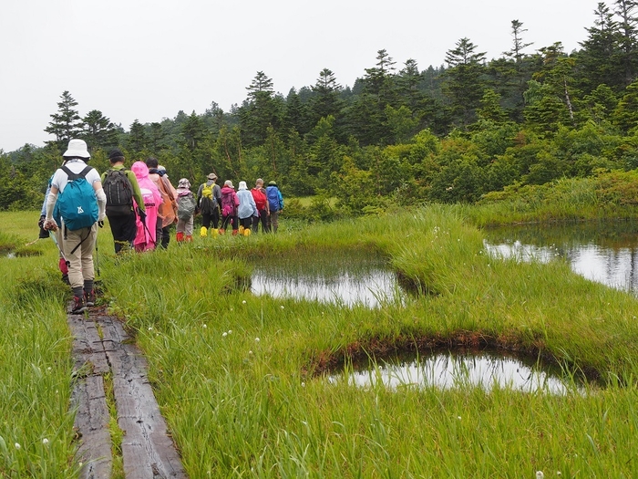 無数の「池塘(ちとう)」が点在