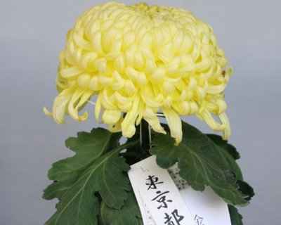 福助作り