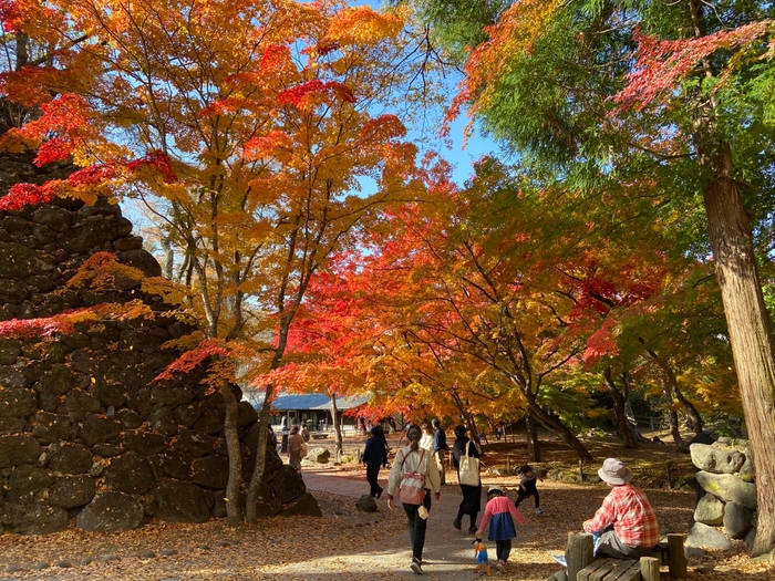 小諸城址懐古園　紅葉ヶ丘