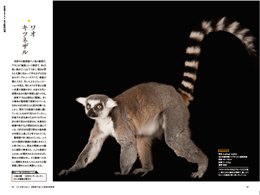 100年後も見たい 動物園で会える絶滅危惧動物』 10月16日（月）発売