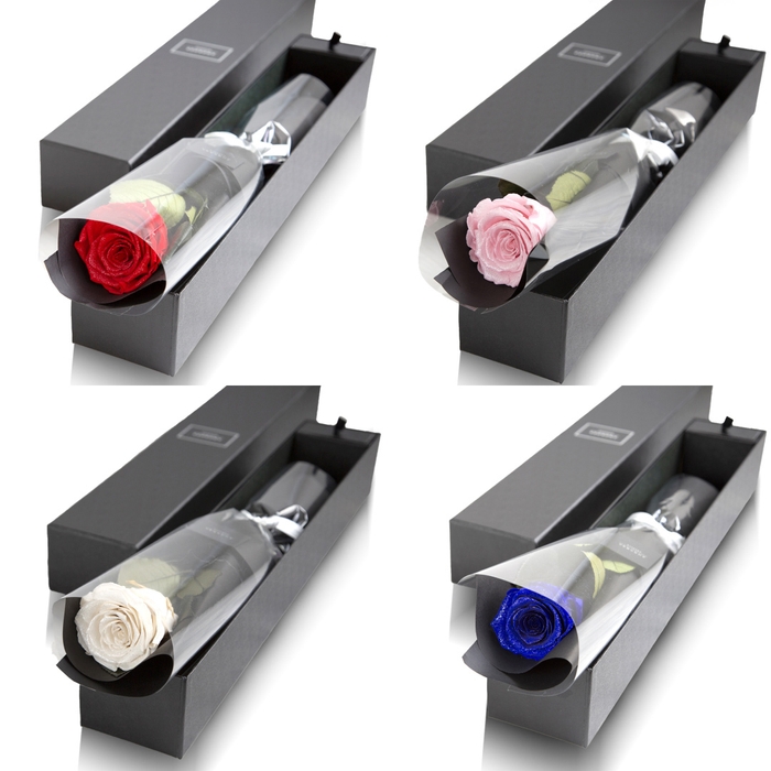 【選べるeギフト】ザ・ワン (プリザーブドフラワー)