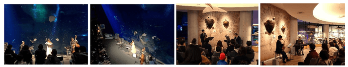 昨年の様子(演奏家・編成楽器は今回のイベント時とは異なります)