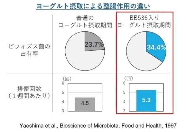 ビフィズス菌を手軽に摂取できるのはヨーグルト