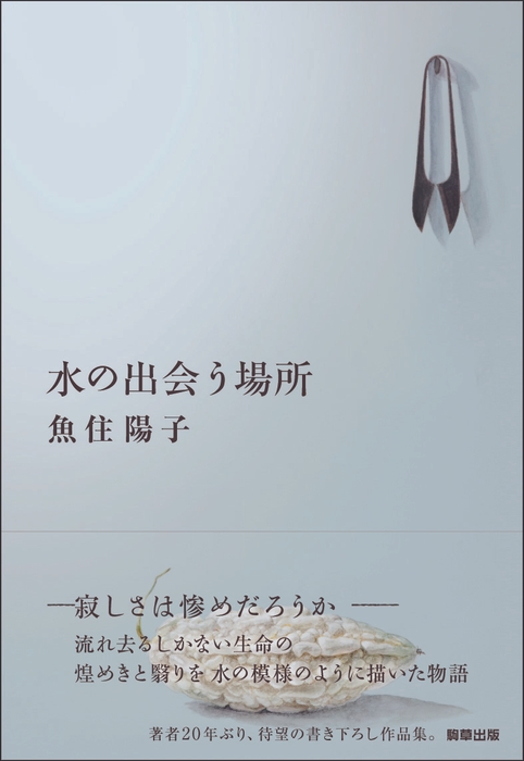 『水の出会う場所』　駒草出版　1,980円(税込)／四六判／344頁／ISBN 978-4-905447-35-1／2014年9月発売