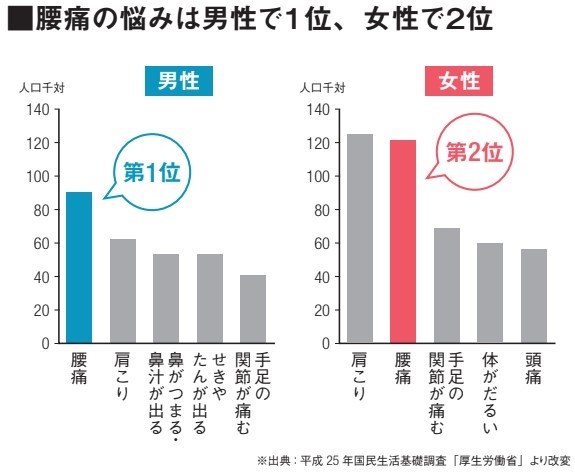 腰痛の悩みは男性で１位、女性で２位　※出典:平成 25 年国民生活基礎調査「厚生労働省」より改変