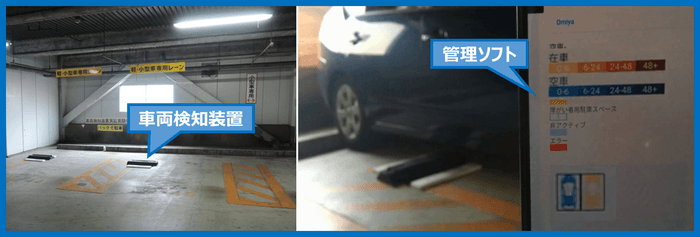 実証実験