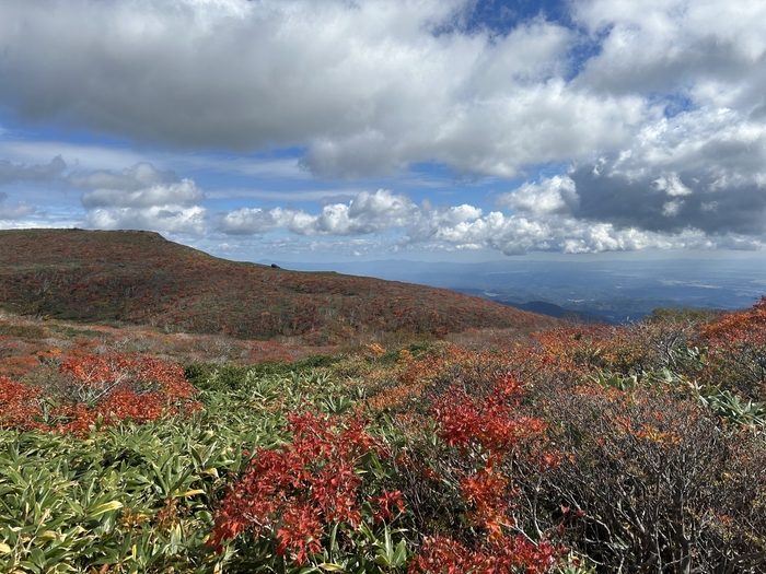 神の絨毯と呼ばれる日本一の紅葉で有名な栗駒山