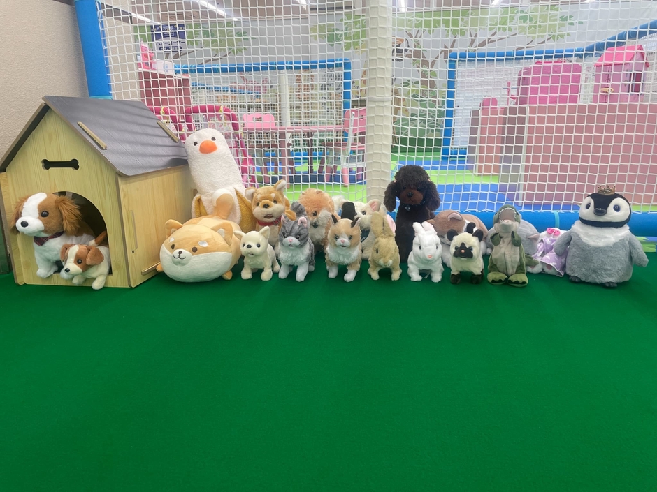 動物園コーナー