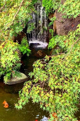 西新井大師 總持寺 庭園