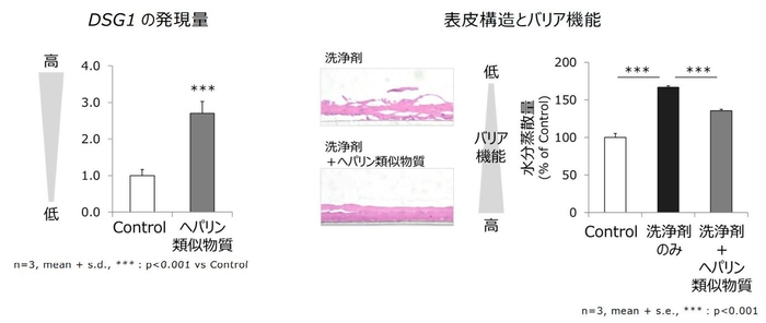 図3　ヘパリン類似物質によるDSG1発現の促進とバリア機能の低下抑制