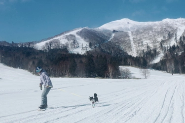 【トマム】愛犬と一緒にスキー・スノーボードを楽しめる 「わんわんゲレンデ」今冬もオープン ～北海道で愛犬と一緒に雪を楽しむ、特別な時間～｜期間：2021年12月20日～2022年3月31日