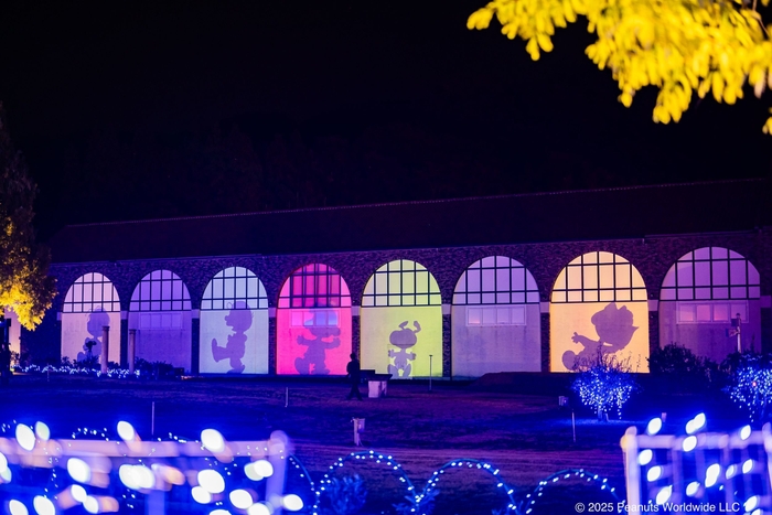 タオル美術館3Dプロジェクションマッピング