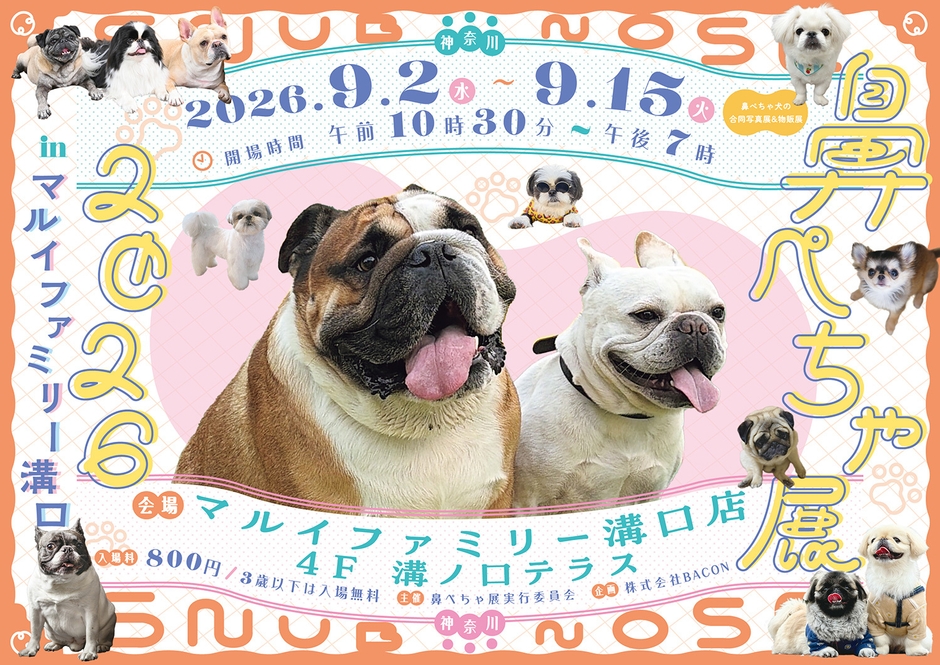 キービジュアル(横)