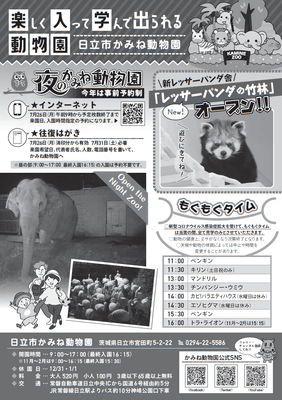チラシ裏